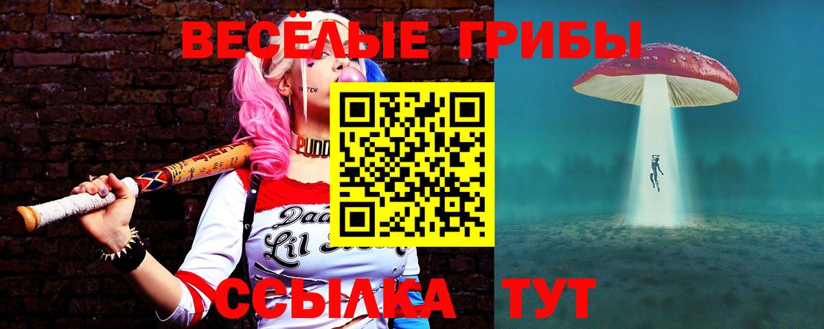 Псилоцибиновые грибы мухоморы Новотроицк